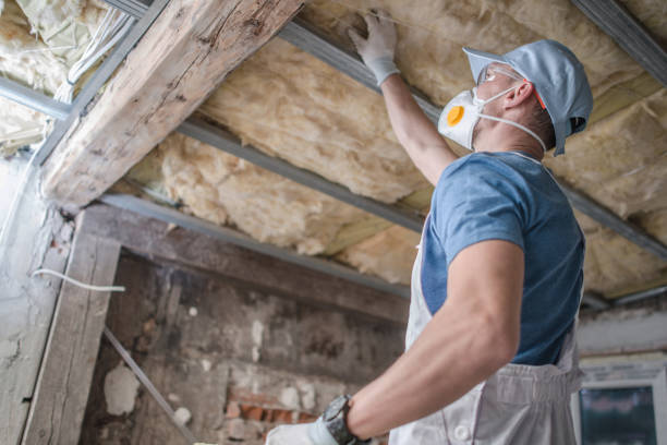 Best Wall Insulation Contractor  in Greeneville, TN