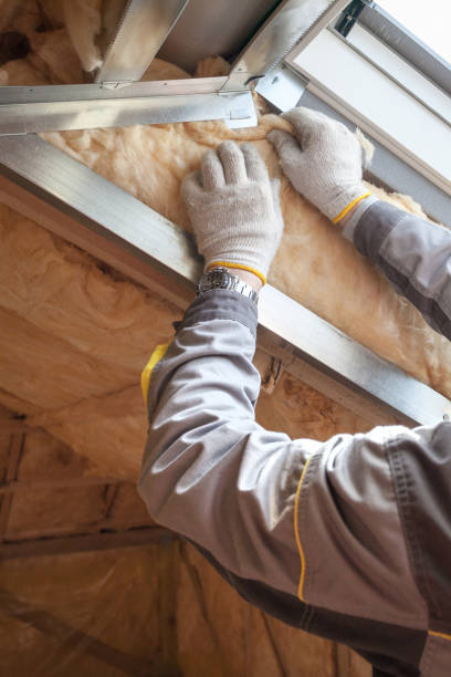 Best Insulation Contractor Near Me  in Greeneville, TN