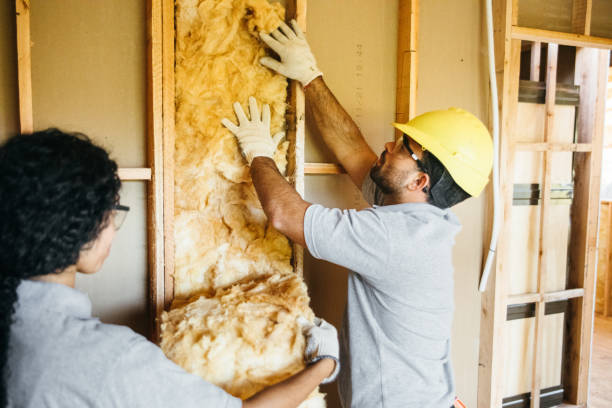 Best Fiberglass Insulation  in Greeneville, TN